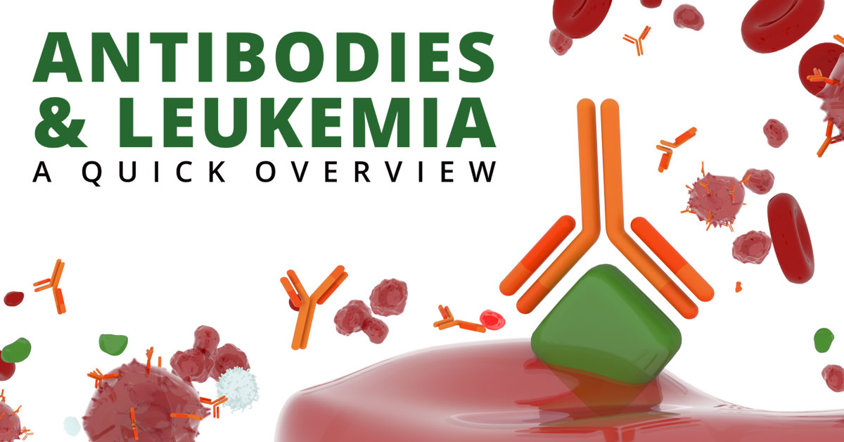Antibodies and Leukemia