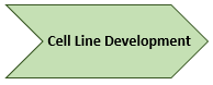 Cell Line Development