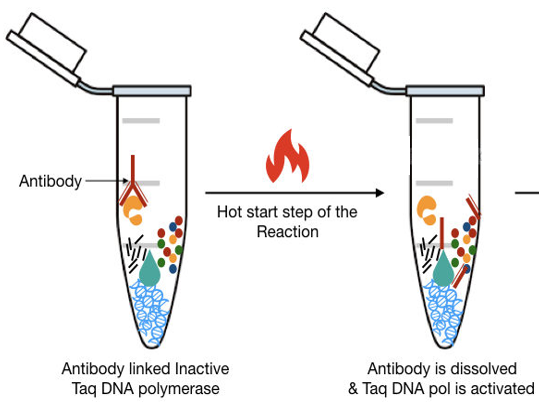 HotStart PCR Kit
