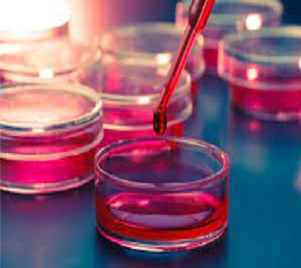 Transfection Reagents