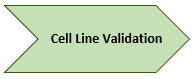 Cell Line Validation