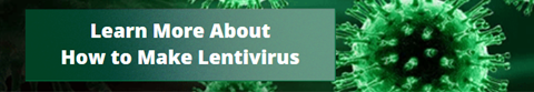 how to make lentivirus