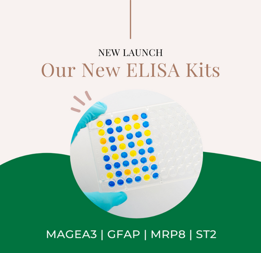 New Launch: ELISA Kits