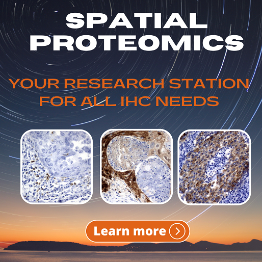 Spatial Proteomics: