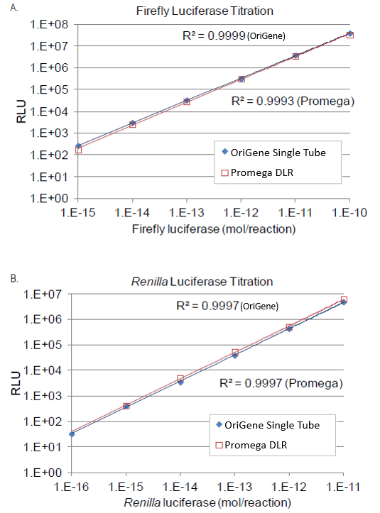 Cell Signaling - Promega