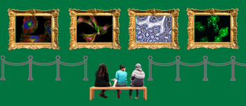 Image Contest