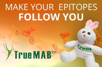 MABbit Offer