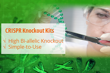 CRISPR-knockout-kits