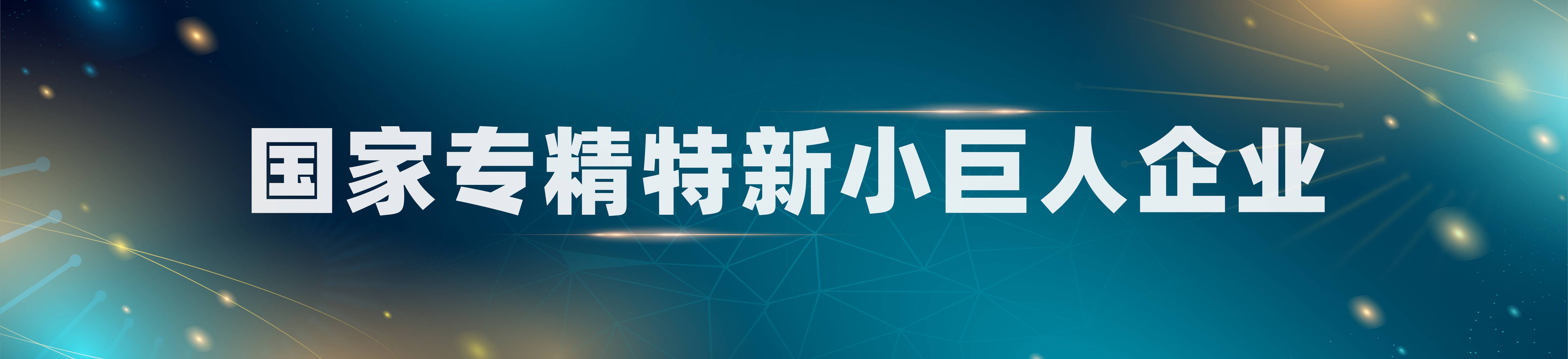 国家级专精特新“小巨人”企业认定