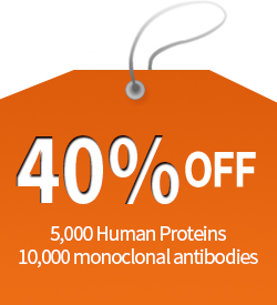 40% off protien and antibody