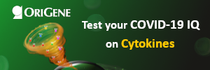 Cytokine Storm Image