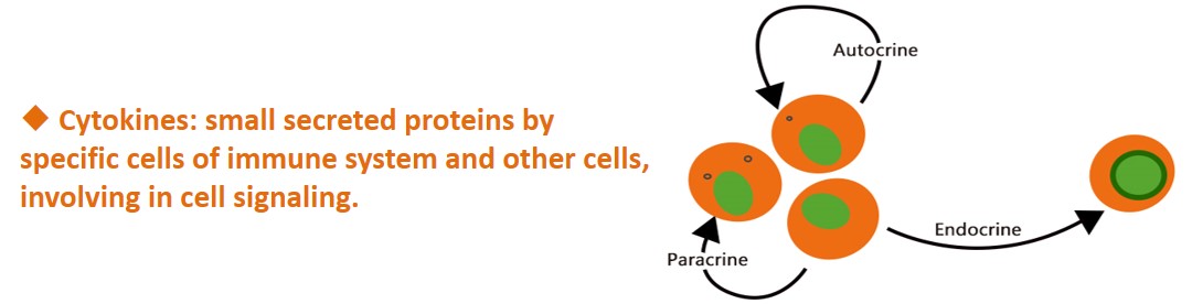 cytokines