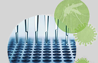 ZIKA ELISA detection Kits