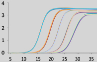 ZIKA RT-PCR Detection Kits