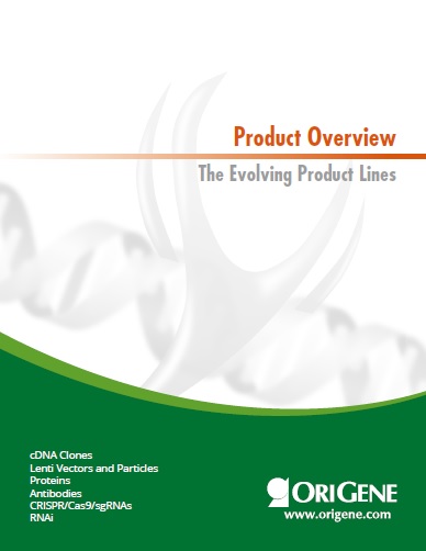 Product Overview