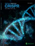 CRISPR Gene Editing in Stem Cells
