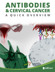 Antibodies and Cervical Cancer