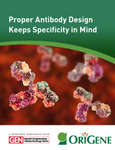 Antibody specificity