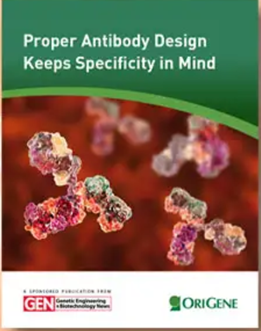 Antibody specificity