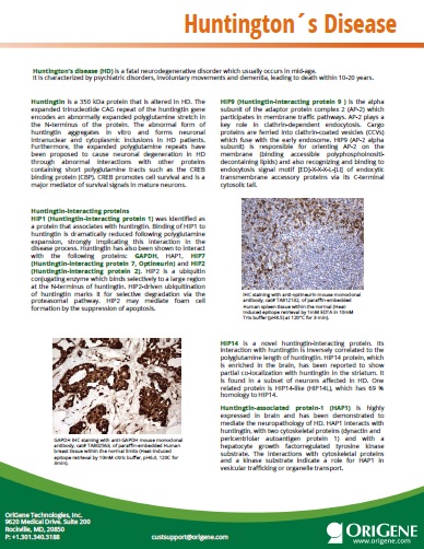 Huntington_s Disease flyer