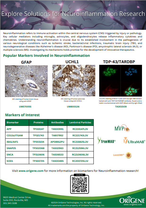 Neuroinflammation Markers flyer