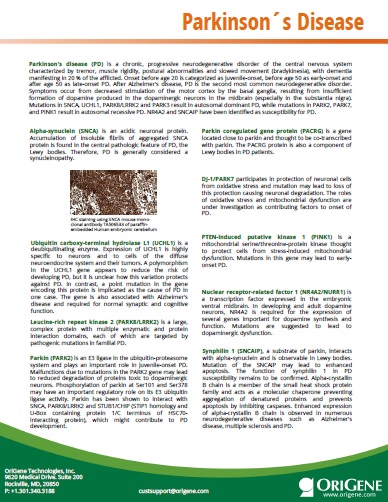 Parkinson_s Disease flyer