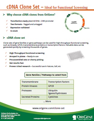 cDNA Clone Set