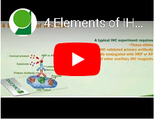 4 Elements of IHC testing
