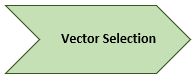 Vector Selection