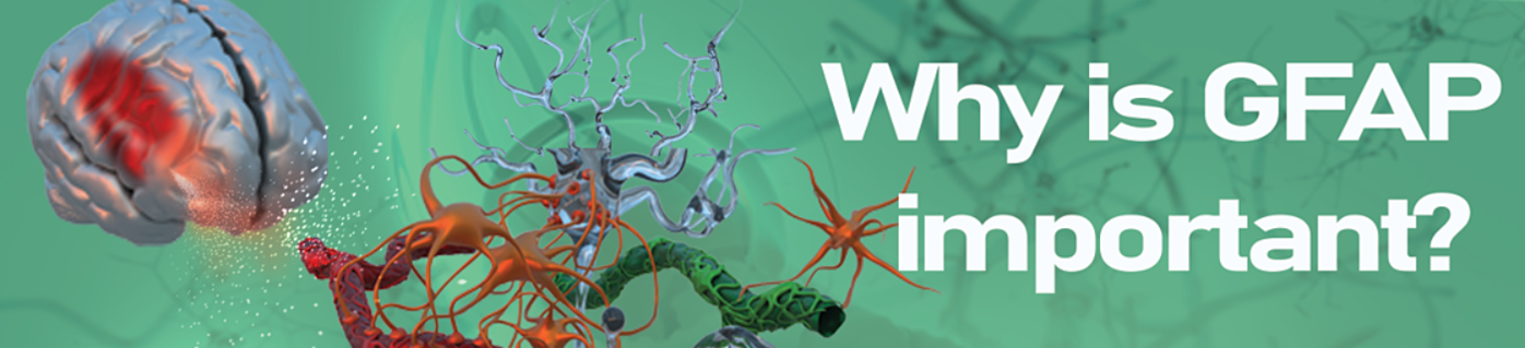 Why is GFAP important?