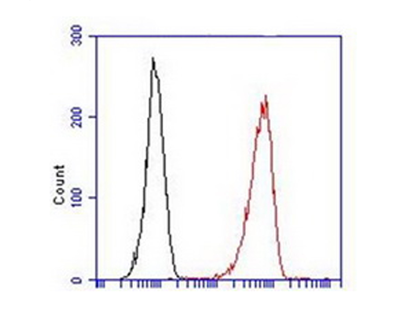HT29 cells stained with PE-labeled anti-LGR5 antibody (TA400001, black line: isotope control; red line: anti-Lgr5-PE)