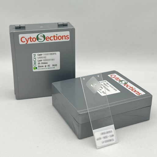 BMP8A CytoSection | TS415047P5