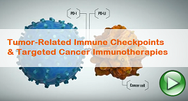 Tumor Related Immune Checkpoints and Targeted Cancer